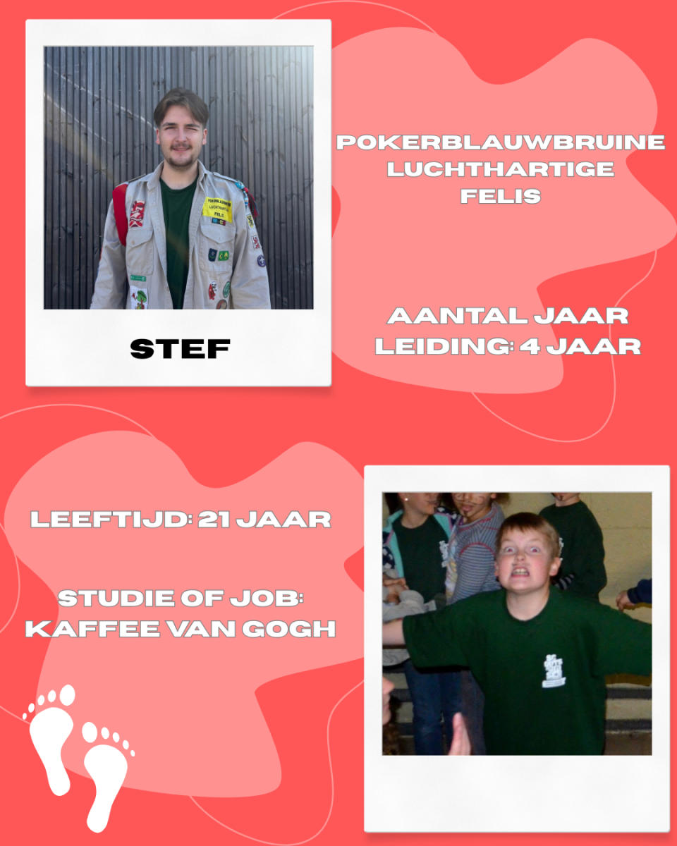 Stef
