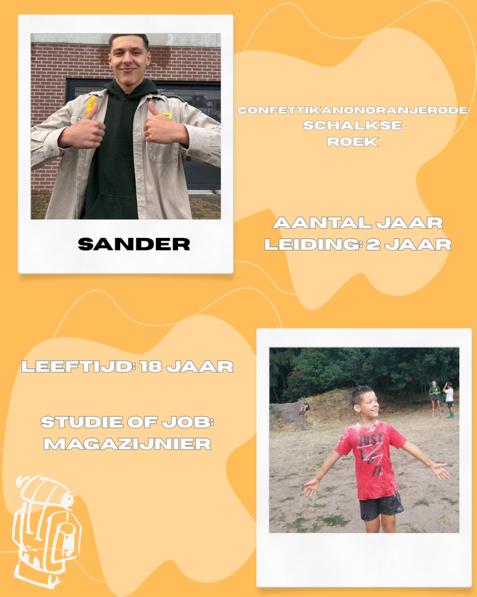 Sander