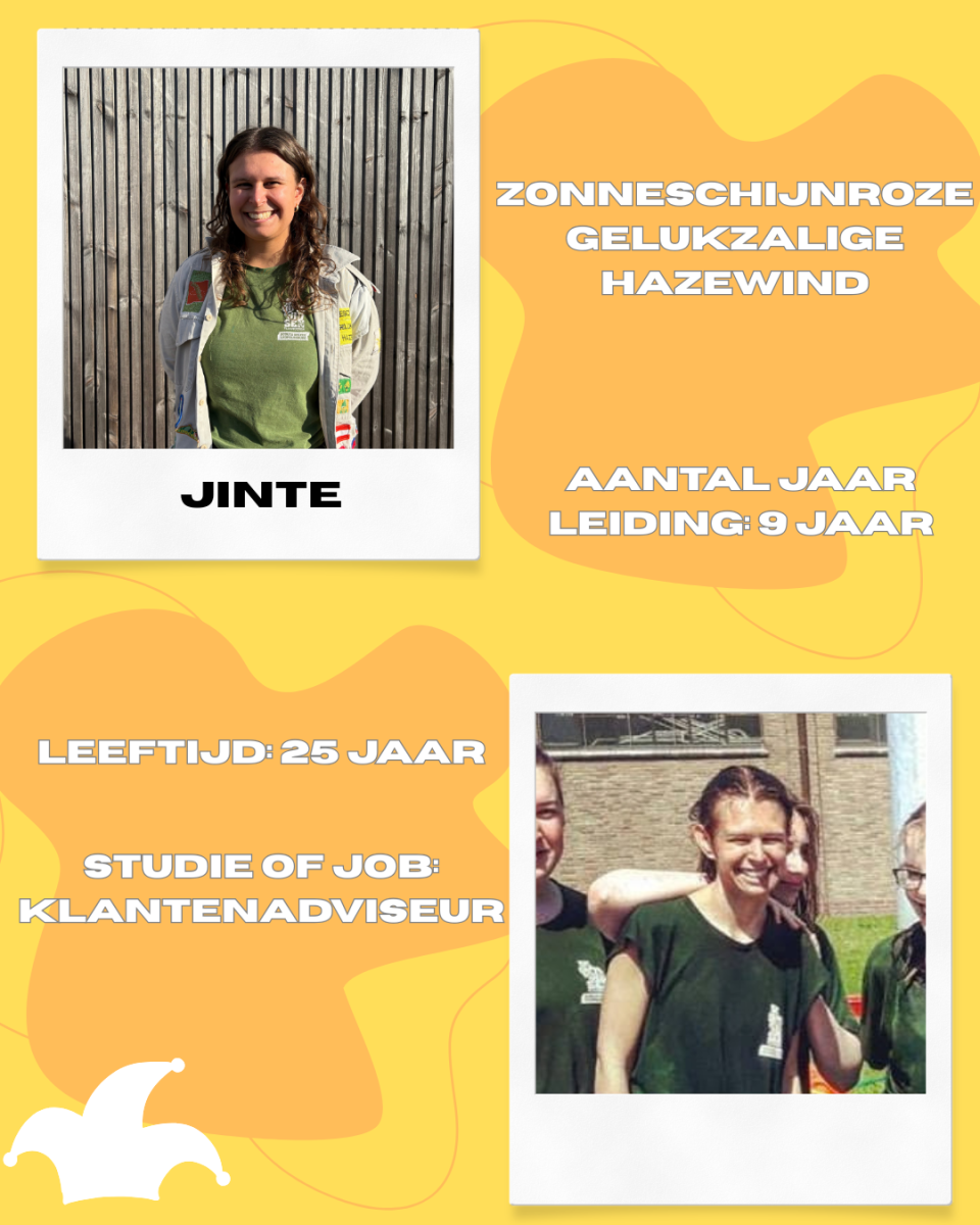 Jinte
