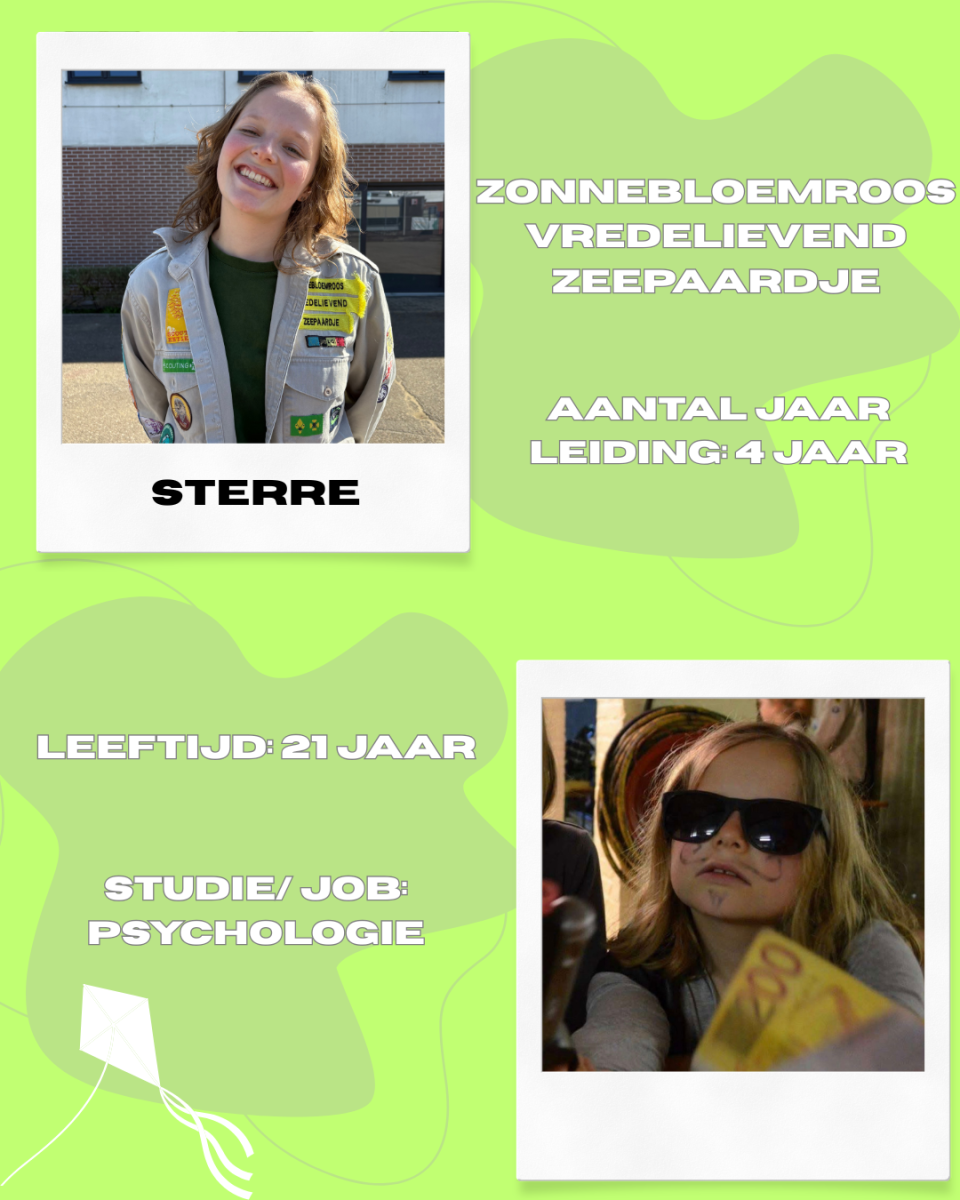 Sterre